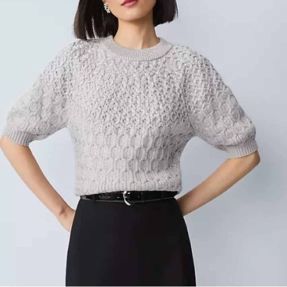 Ann Taylor Silver Shimmer Cable Knit Short Sleeve Sweater